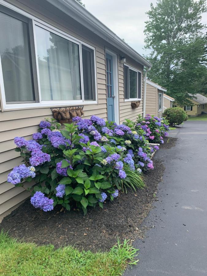 Northeaster Motel Kittery Luaran gambar