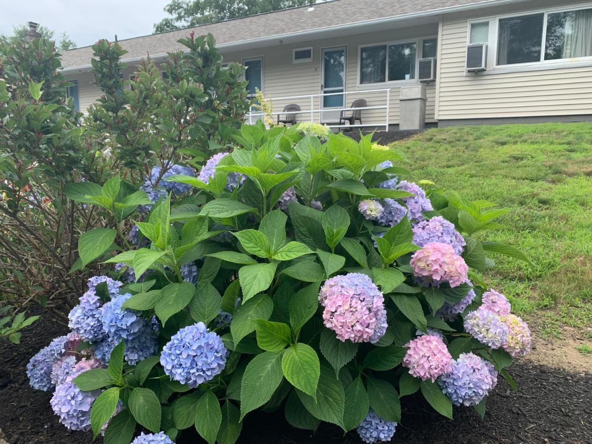 Northeaster Motel Kittery Luaran gambar