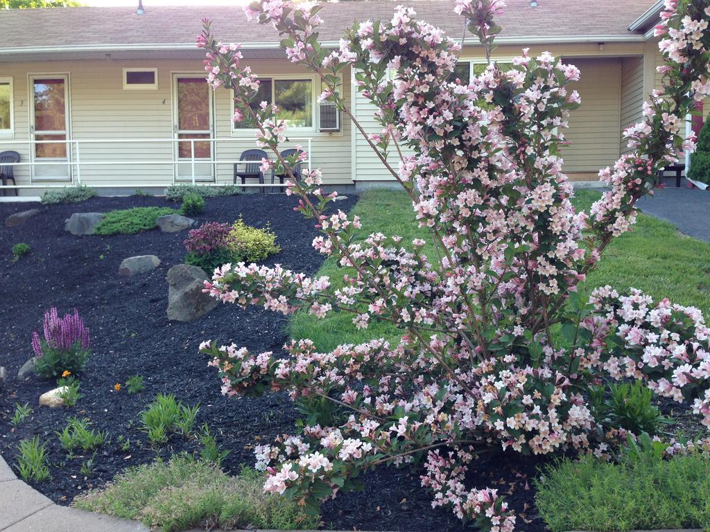 Northeaster Motel Kittery Luaran gambar