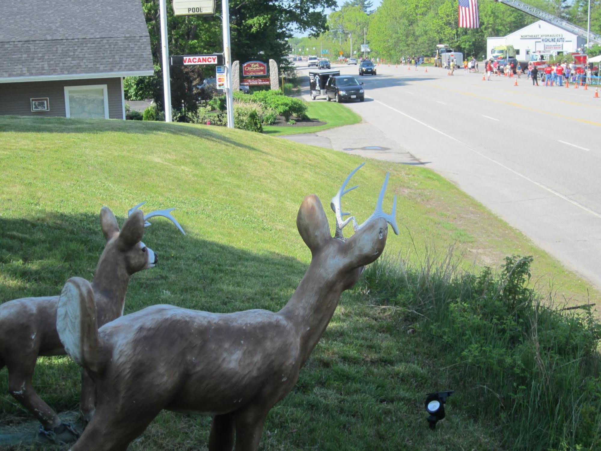 Northeaster Motel Kittery Luaran gambar