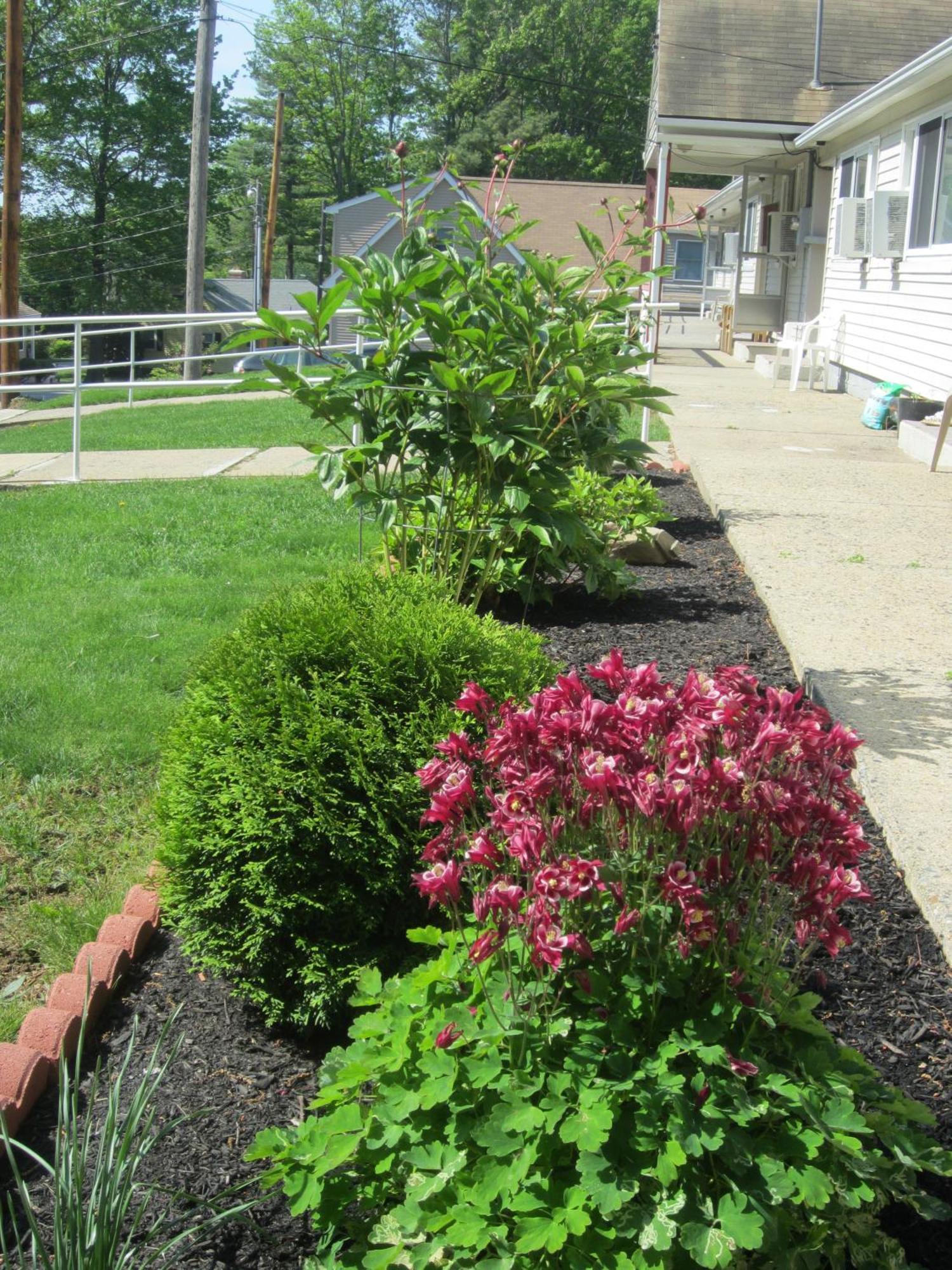Northeaster Motel Kittery Luaran gambar